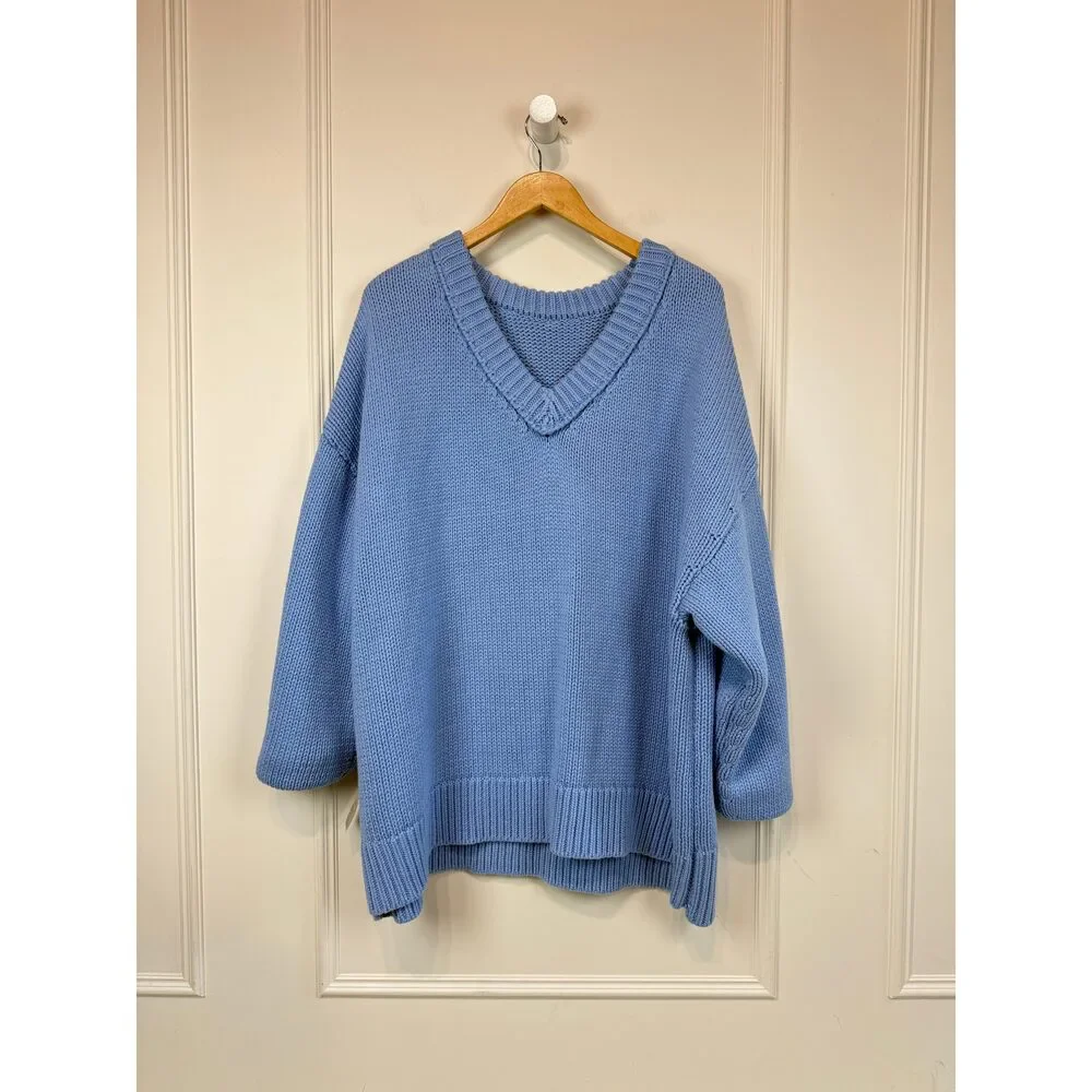 Free People Baby Blue Sweater (M)